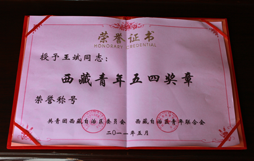 西藏青年五四獎章