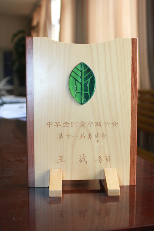 中華全國青年聯合會第十一屆委員會