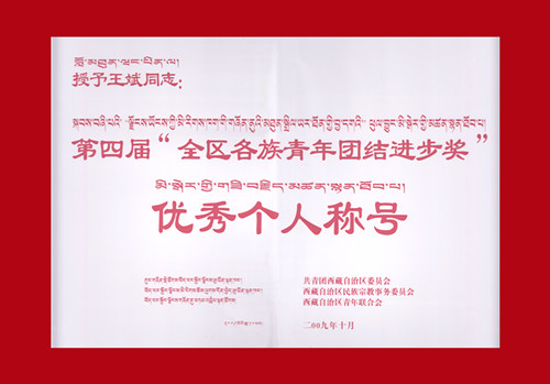 全區各族青年團結進步獎