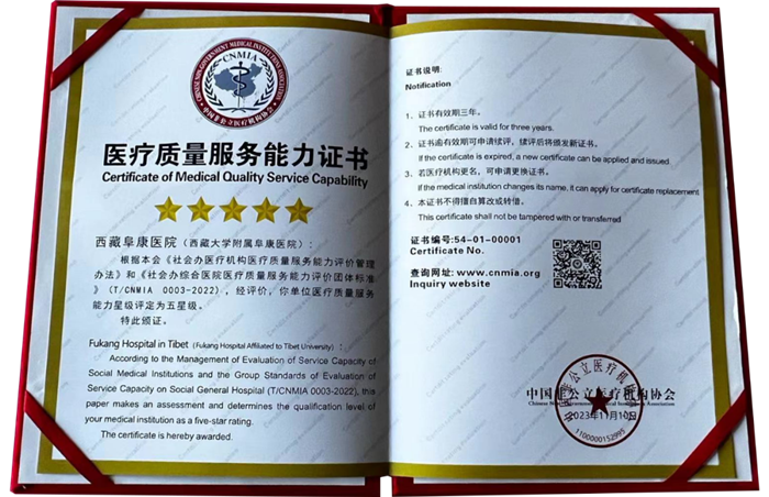 醫療質量服務能力五星級醫療機構（榮譽證書）