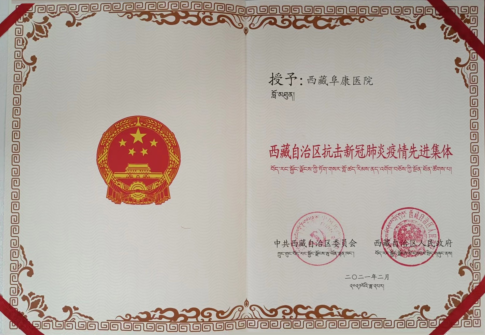 西藏自治區抗擊新冠肺炎疫情先進集體