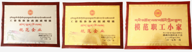 醫院榮獲“工資集體協商提質增效規范企業”榮譽稱號