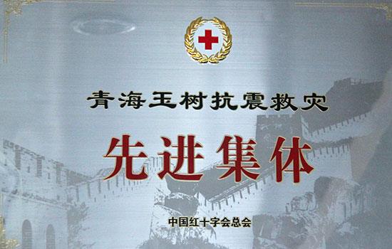 青海玉樹抗震救災先進集體