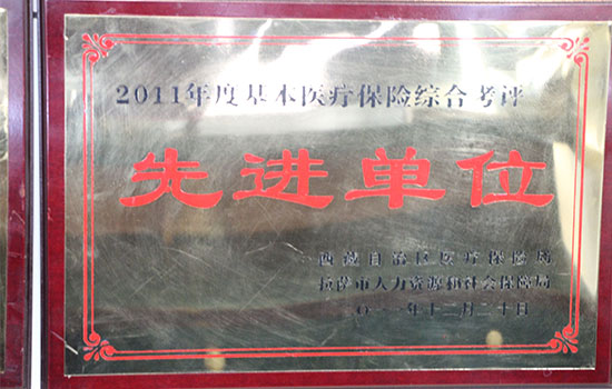 2011年度基本醫療保險綜合考評先進單位
